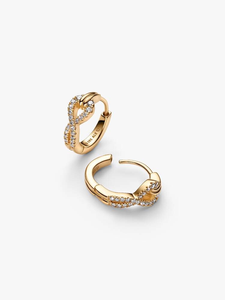 Infinite Hoop Earrings